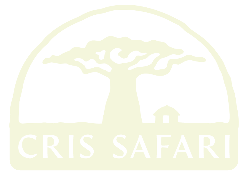 Cris Safari